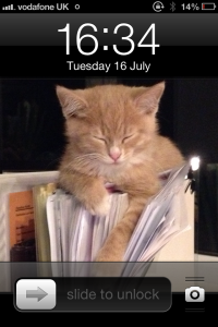 My screen-saver of Charlie, who doesn't seem to be missing me at all, by all accounts 